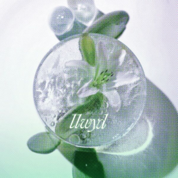 Image Cover